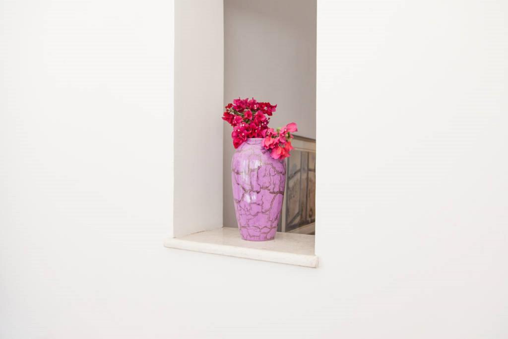 Alona'S Apartments ไฮฟา ภายนอก รูปภาพ